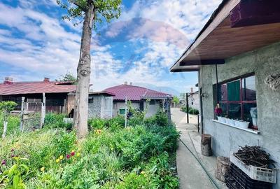 Casa Individuala cu Teren Generos si Gradina Superba in Darasti-Ilfov - 24