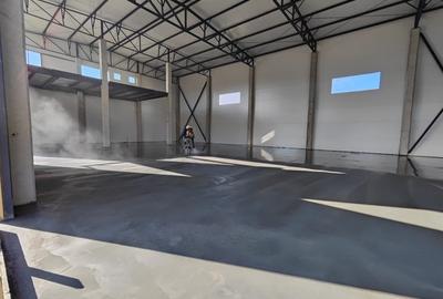 Spațiu industrial, 590 mp în Bartolomeu