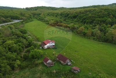 Casă individuală cu 4 camere cu Teren 57600 Mp în Sâncraiu Almașului - 28