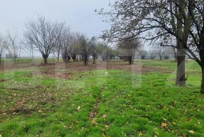 OPORTUNITATE TEREN 0,9 Ha intravilan constructii+extravilan - 12