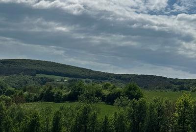 Casa tradițională restaurată Casa tradițională restaurată - 7