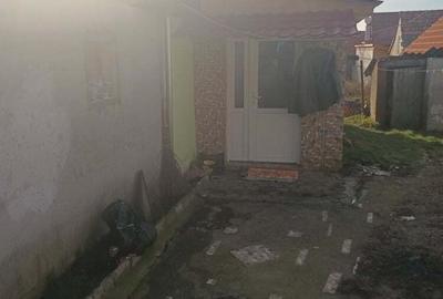 Casa de vanzare haghig - 4