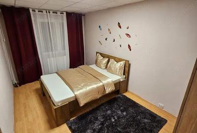 Apartament cu 2 camere decomandat în Colentina - 2