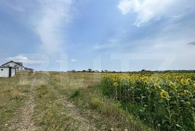 Parcele de 770 mp , drum privat 7m , zona reziden?iala Moa - 1