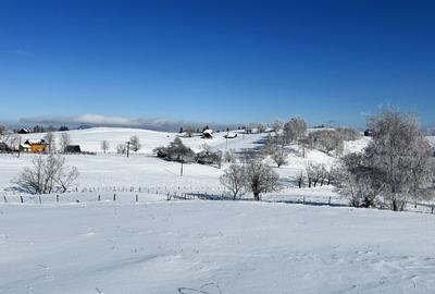 Teren satul Sirnea, intravilan, deschidere 120 m la drum asfaltat, - 4