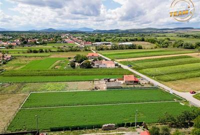 FILM! 1.833 mp intravilan, cu facilitati, recomandat locativ/ investitional - 5
