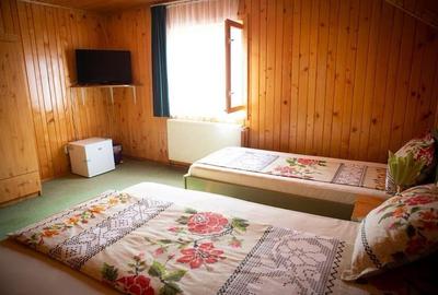 Statiunea turistica Leresti, Judetul Arges - 19