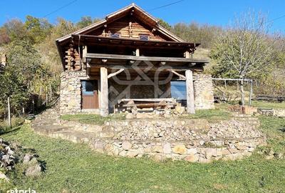 Casă cu 6 camere cu Teren 2046 Mp în Brusturi - 1