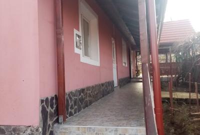 Casă individuală cu 2 camere în Moișa