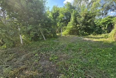 Re?i?a, casa cu teren 700 mp, pe malul Barzavei in cartierul Calnic - 1