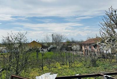 Casă cu 3 camere în Central