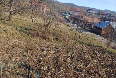 Teren de 1300 mp, în Albești - 1
