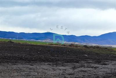 Teren agricol extravilan de 136000 mp, în Cristian - 2