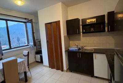 Inchiriez studio spatios in zona Noua lac - 3