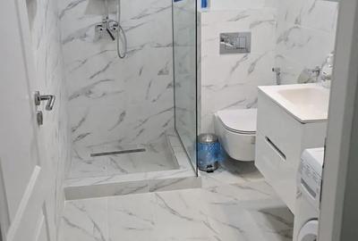 Apartament 2 camere lujerului - 2