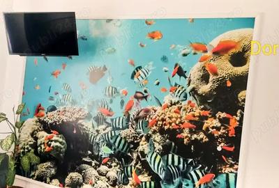 Vand apartament cu 4 camere - 4