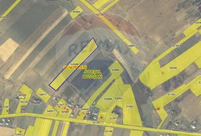 Teren de 12000 mp, în Pădureni (Șendriceni) - 3