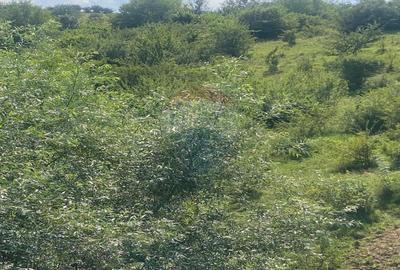 Teren de vanzare 8,700 mp Tarlungeni, comision 0 cumparator - 7