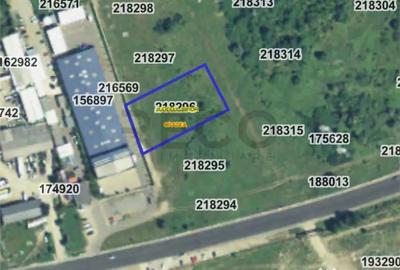 Teren de 3000 mp, în Centura - 2