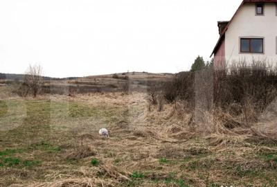 Teren în Borhanci - 1
