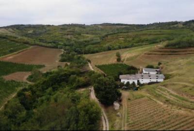 Teren extravilan de 230000 mp, în Vernești - 11