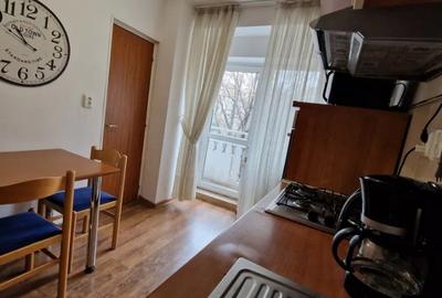 Unirii FANTANI metrou,Constitutiei STRADAL decomandat,mobilat,utilat balcoane - 5