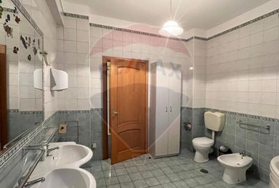 Apartament / Birou, 4 camere, Floreasca - Dorobanti, 163 mp + curte - 18