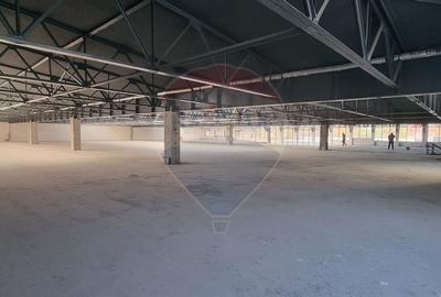 DE INCHIRIAT Spațiu comercial | 3872mp | Preciziei / Militari - 19