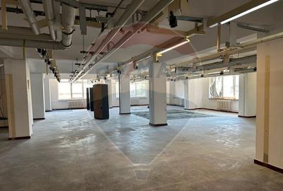 Spa?iu comercial/birouri/industrial Brailei - 3