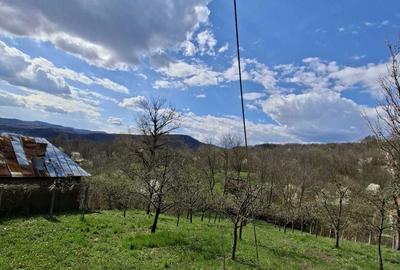 Spațiu comercial, în Olteni - 8