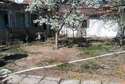Casă cu 4 camere cu Teren 1400 Mp în Seleuș - 3