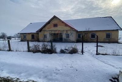 Teren Construcții intravilan de 3436 mp, în Hoghilag - 2