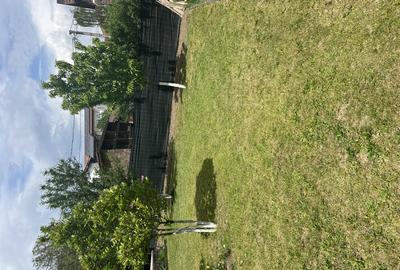 Teren superb cu toate utilita?ile Bujoreni - 1