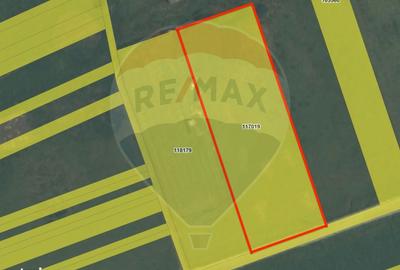 Spațiu comercial, în Centură - 1