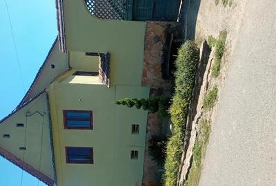 Vand casa in Amnas - 3