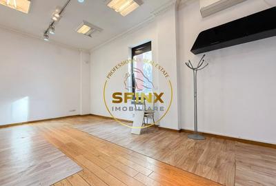 Vila eclectica individuala, curte proprie zona Armeneasca - 14