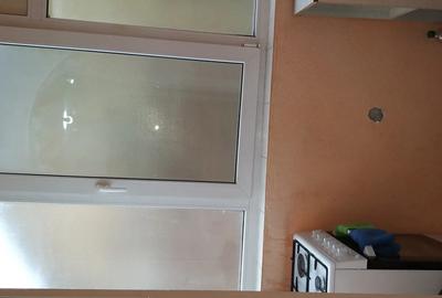 Apartament cu o Camera in Dragasani - 1