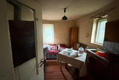 Casă individuală cu 2 camere cu Teren 6600 Mp în Așchileu Mare - 5