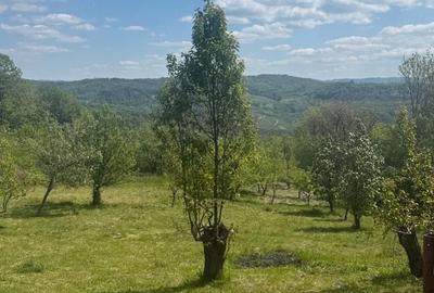Teren de 4000 mp, în Predeal - 1