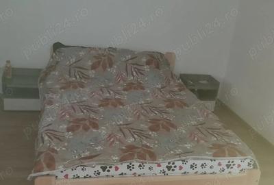 Casă cu 2 camere cu Teren 1500 Mp în Mânzălești - 4