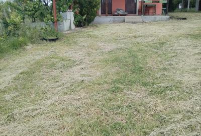 Casă cu 3 camere cu Teren 2700 Mp în Vrancea - 4
