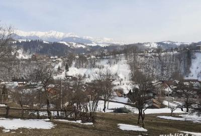 Spațiu comercial, în Moieciu - 2