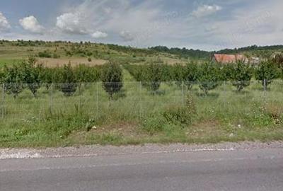 Spațiu comercial, de 3,000 mp, în Măieruș - 5