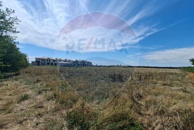 Teren agricol extravilan de 5316 mp, în Aradul Nou - 7