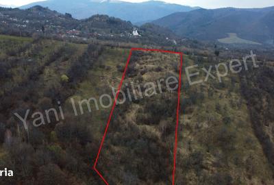 Teren de 14328 mp, în Nucșoara - 2