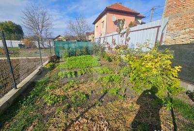Casă cu 3 camere cu Canalizare în Chinteni - 14