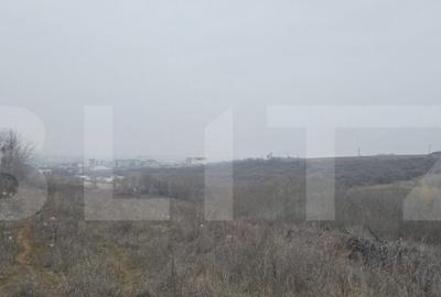 Teren intravilan, 10.000 mp, front peste 150 metri, zona Cur - 1