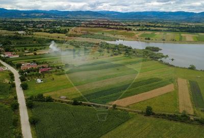 Teren superb Unciuc / jud.Hunedoara - 4