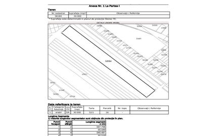 Teren Construcții intravilan de 30000 mp, în Mărăcineanu - 3