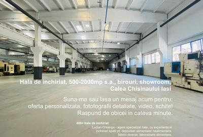 Hala de inchiriat, 500-2000mp s.a., birouri, showroom, Calea Chisinaului Iasi